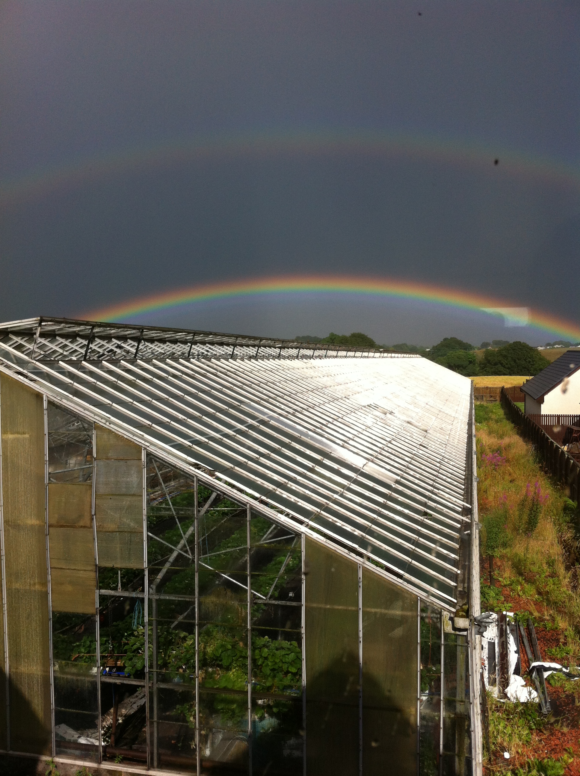 Glass greenhouse with rainbow in background.